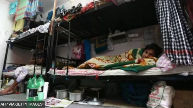 ਫੀਫਾ ਵਿਸ਼ਵ ਕੱਪ