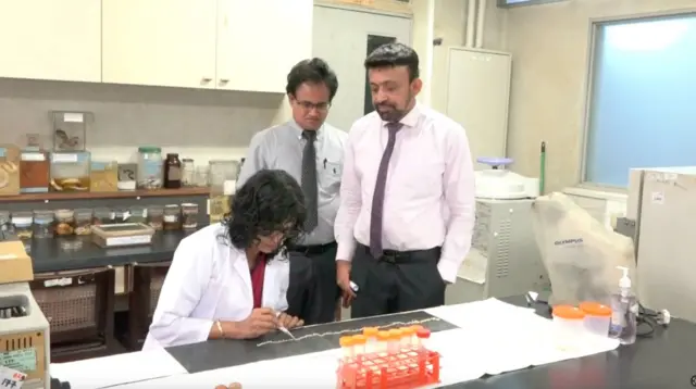 ශ්‍රී ලංකාවට අවේනිකදැයි පරීක්ෂා කිරීම සඳහා ජාන පරීක්ෂණයක් කරන බව වෛද්‍ය පරීක්ෂණ ආයතනයේ අධ්‍යක්ෂවරයා පැවසීය.