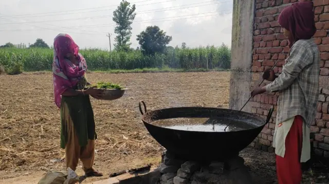 गोमूत्र से खाद