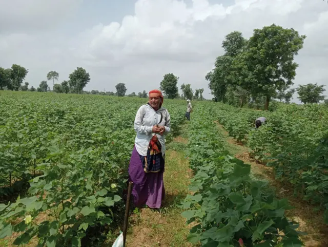 ગુજરાતી મહિલા ખેડૂત