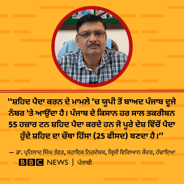 ਮਧੂ ਮੱਖੀ