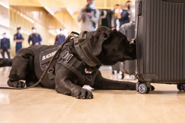 สุนัขดมกลิ่นเริ่มเข้าปฏิบัติหน้าที่ที่ศูนย์การประชุมแห่งชาติสิริกิติ์