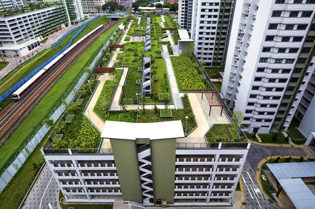 Roof Garden by Joseph Meng Huat Goh