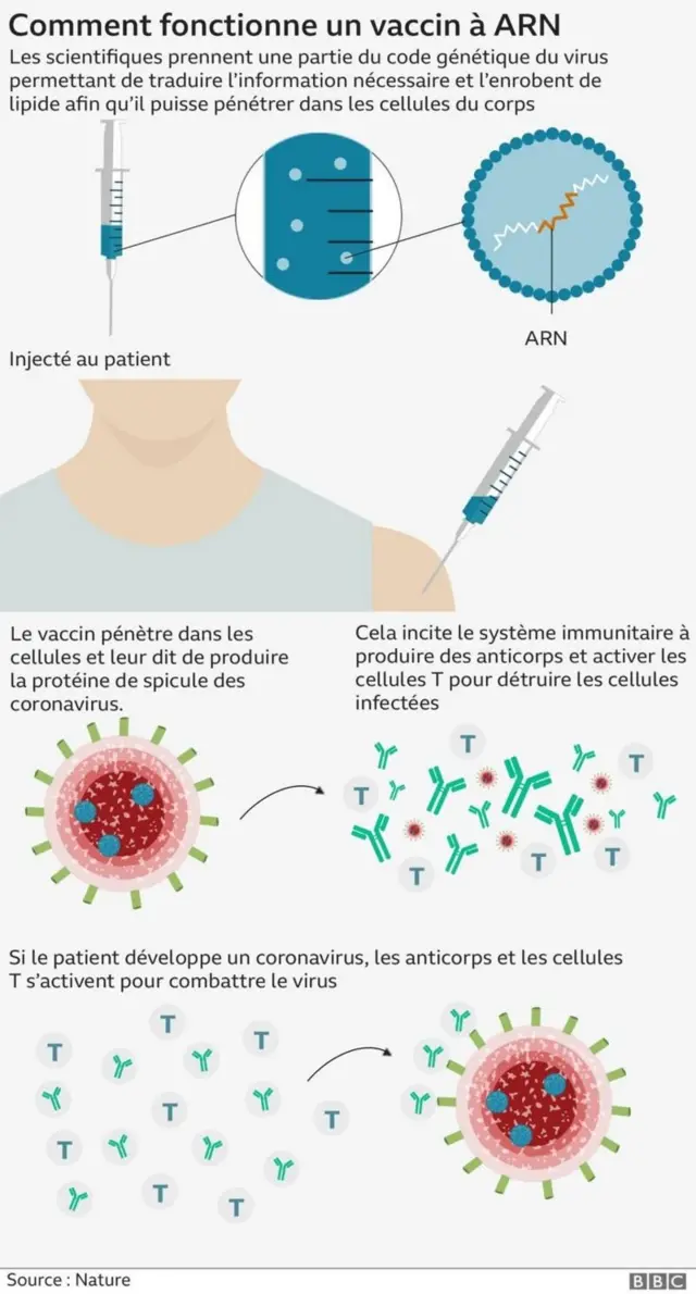 Comment fonctionne un vaccin à ARN