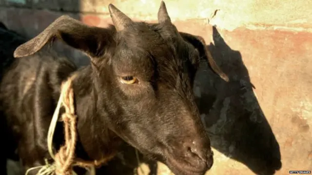 आधार कार्ड, मॉब लिंचिंग, प्रेग्नेंसी