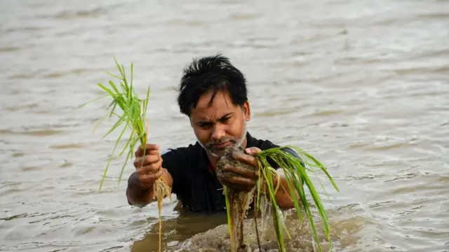 પાકનુકસાની