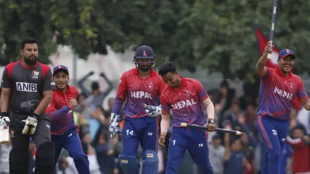 क्रिकेट