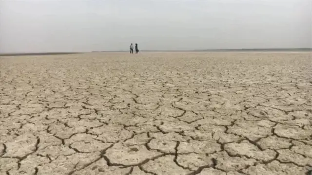 বর্ষাকালে ঠিকমতো বৃষ্টি না হওয়ায় অনেক কৃষি জমি খরার মুখে পড়েছে