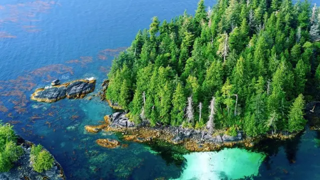 阿拉斯加东南部