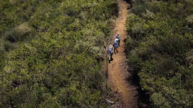 Tres investigadores caminan por un sendero en la isla Floreana.