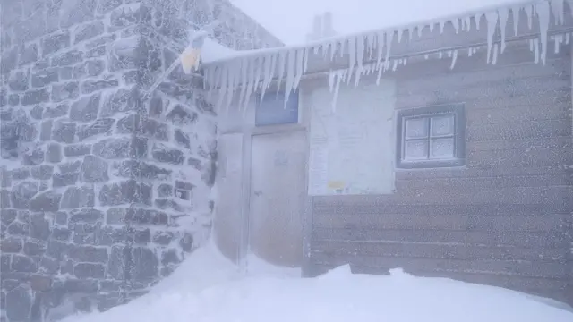сніг