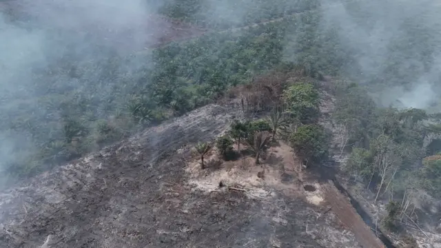 Karhutla Aceh Barat
