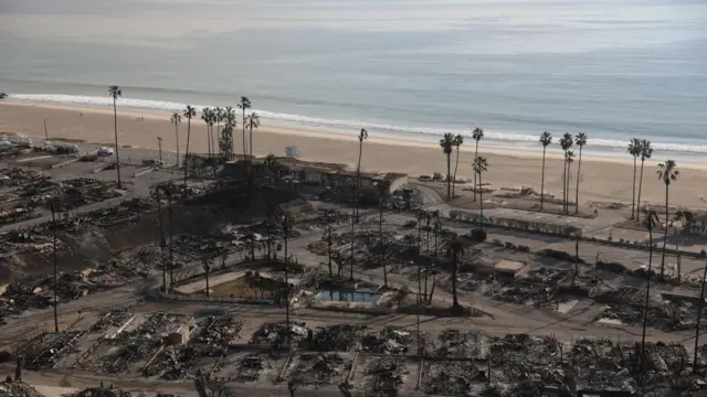 क्यालिफोर्निया डढेलो