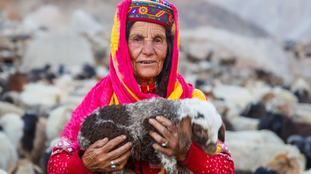 पाकिस्तान