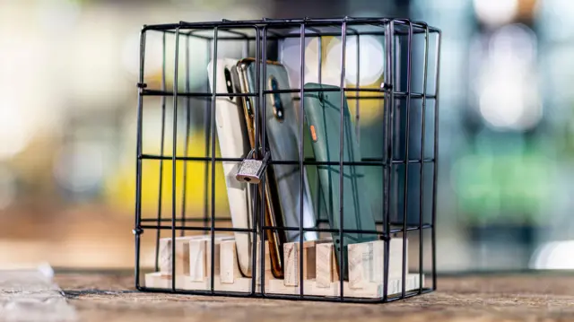 ਡਿਜੀਟਲ ਡਿਟਾਕਸ