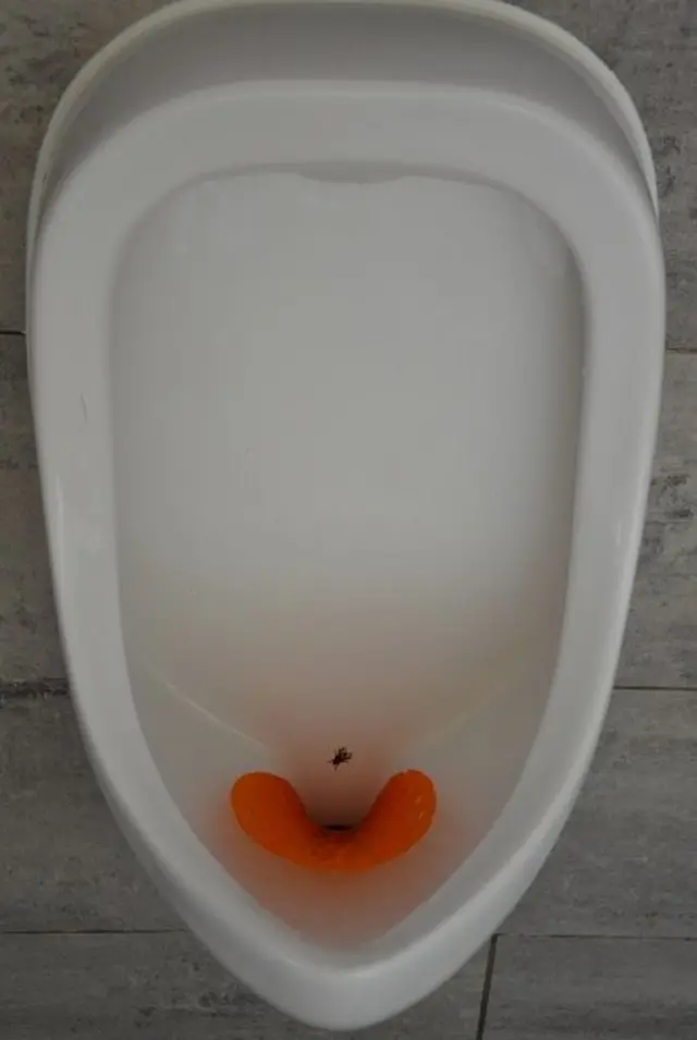 టాయిలెట్