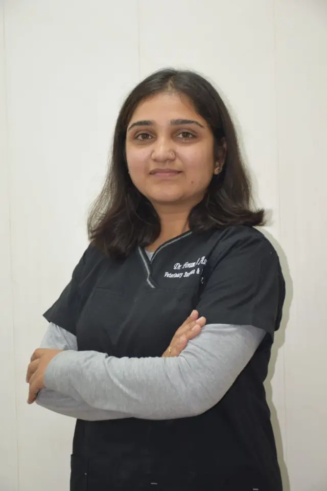 બિલાડનું સફળ ઓપરેશન કરનાર ડૉ ફોરમ