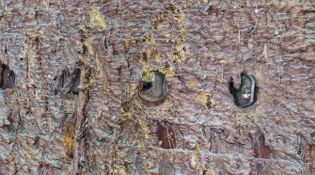 ਟਾਈਟੈਨਿਕ ਜਹਾਜ਼