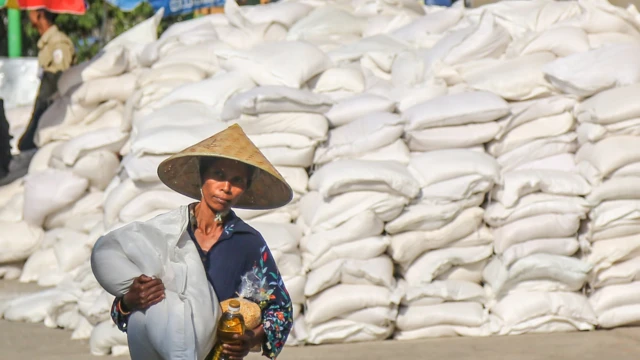 Myanmar Rice