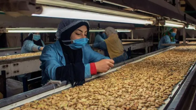 عشق المصريين للفول، الذي يستخدم في صناعة الفول المدمس والطعمية، ضارب بجذوره في أعماق التاريخ