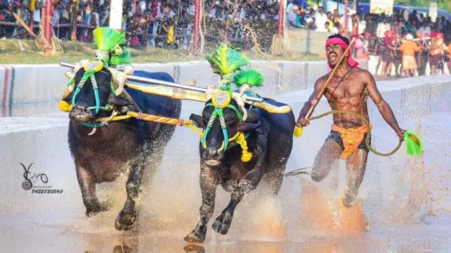 శ్రీనివాస్ గౌడ