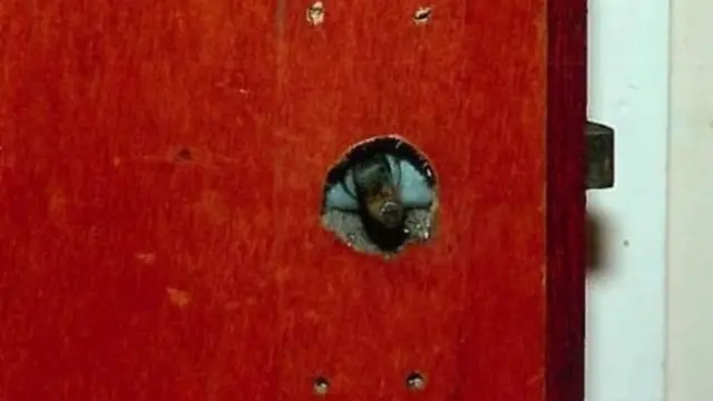 बेकर के घर का दरवाज़ा