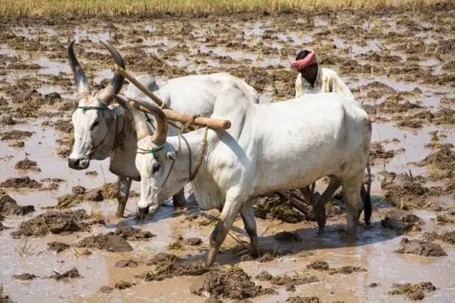 தி.மு.க தேர்தல் அறிக்கை