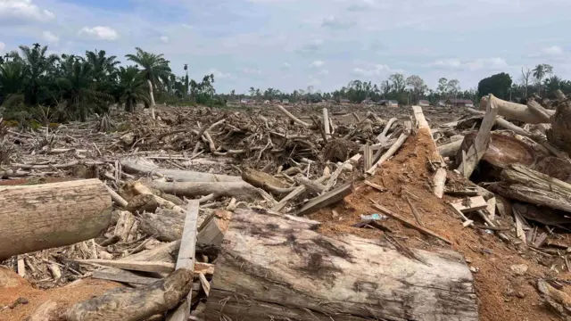 Geudumbak, Kecamatan Langkahan, Kabupaten Aceh Utara.