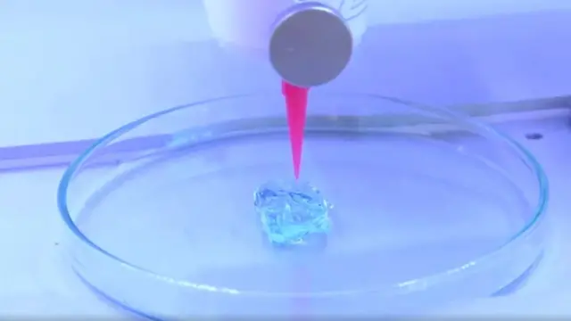 üç boyutlu yazıcıda organ üretimi