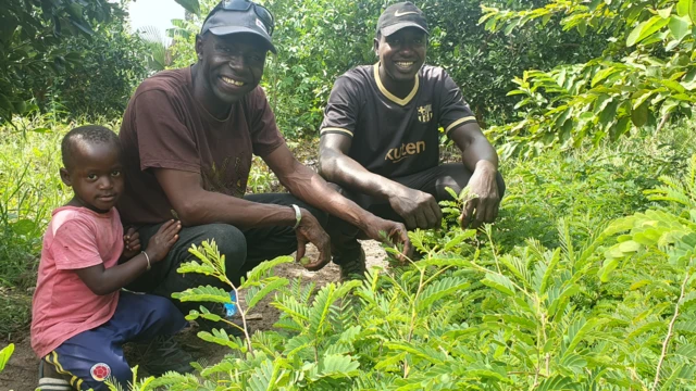 Adama Diémé (hagati) yifotoje ari kumwe n'imivyari y'ibiti vy'ivyamwa avuga ko abanyagihugu muri buri karere ari bo bifatira ingingo ku bwoko bw'ibiti bashaka gutera 