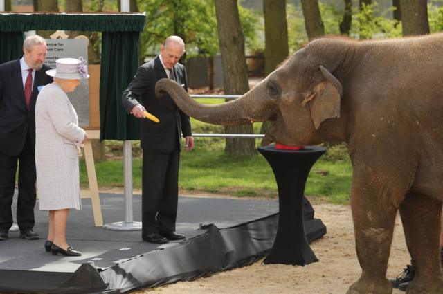 2017年4月，公爵陪同女王在貝德福德郡開設了一個新的大象護理中心。同年5月，他宣佈在女王的全力支持下，年屆95歲高齡的他將退出公開活動。