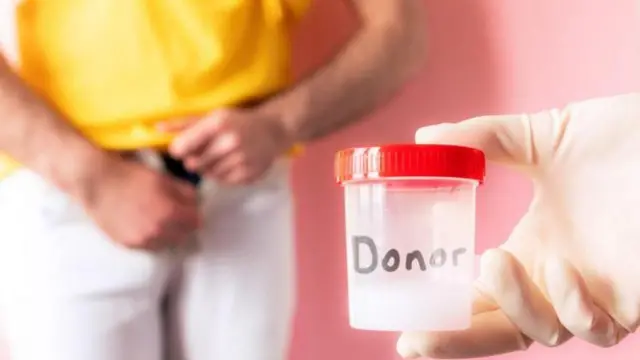 কেবল নেদারল্যান্ডেই মায়ার ১০২টি সন্তানের জন্ম দিয়েছে