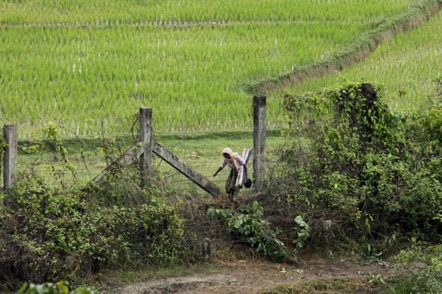 Krisis Rohingya, Mengapa ASEAN Tidak Mampu Berperan? - BBC News Indonesia