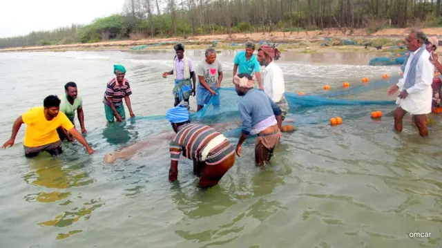 கடலோர மீனவர் வலைகளில் சிக்கும் திமிங்கிலம் போன்ற ஆழ்கடல் உயிரிகள்