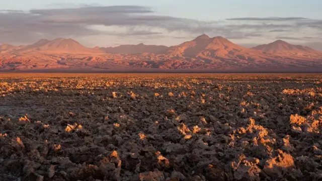تشهد صحراء أتاكاما