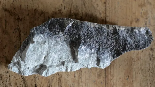 meteor, tabrakan, dinosaurus