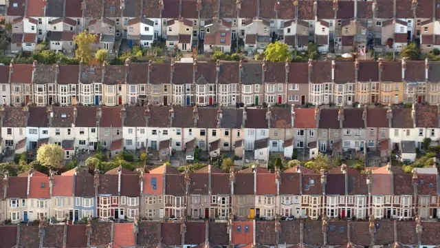 布里斯托尔居民