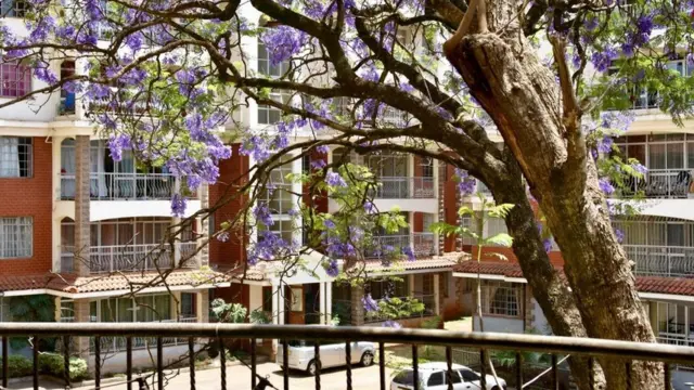 إحدى ضواحي نيروبي