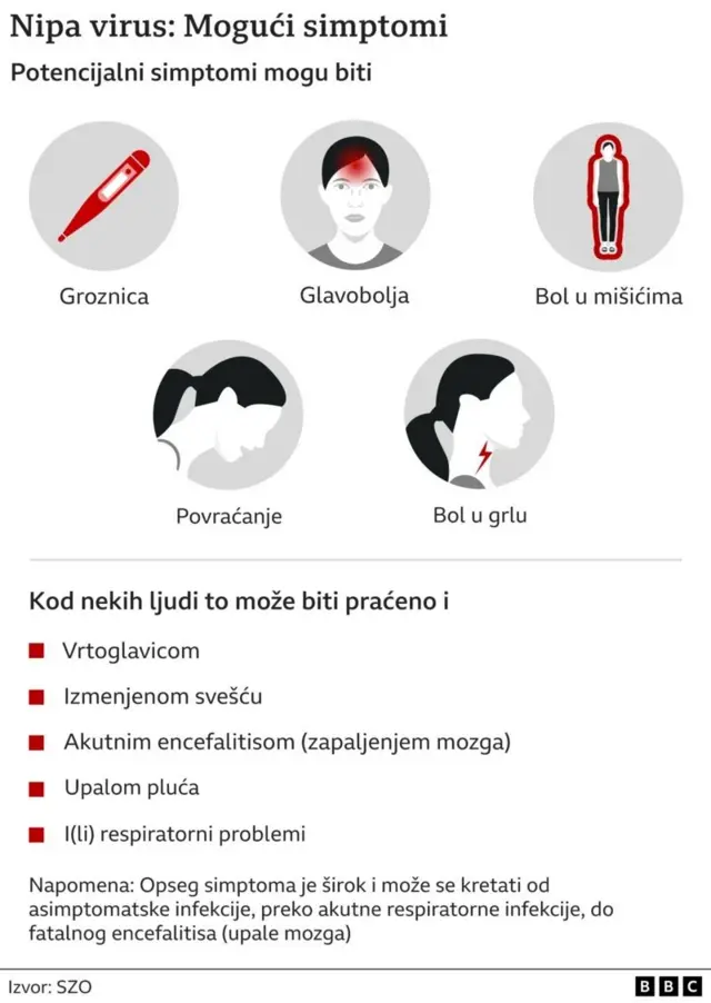 grafički prikaz virusa nipa, nipa virus, koji su simptomi nipa virusa