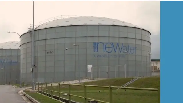 சிங்கப்பூர் பீர்