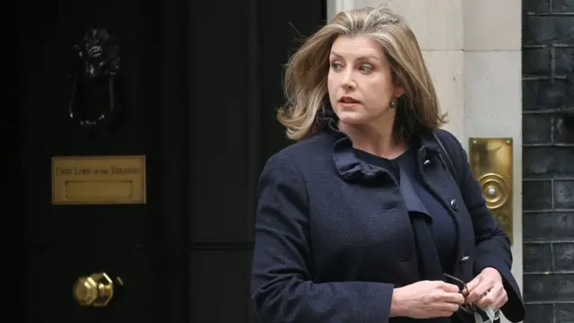 پنی موردانت