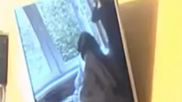 Кадры из видеозаписи - окна без штор