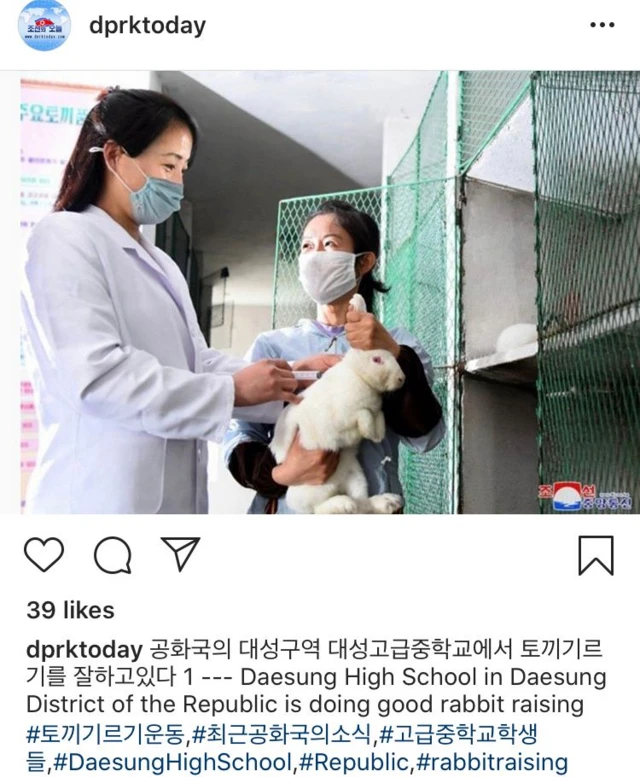 조선의 오늘 인스타그램. 30일 현재 팔로워 수는 3600여 명이다