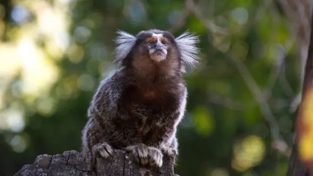 ست حقائق مذهلة عن "هرمون الحب"