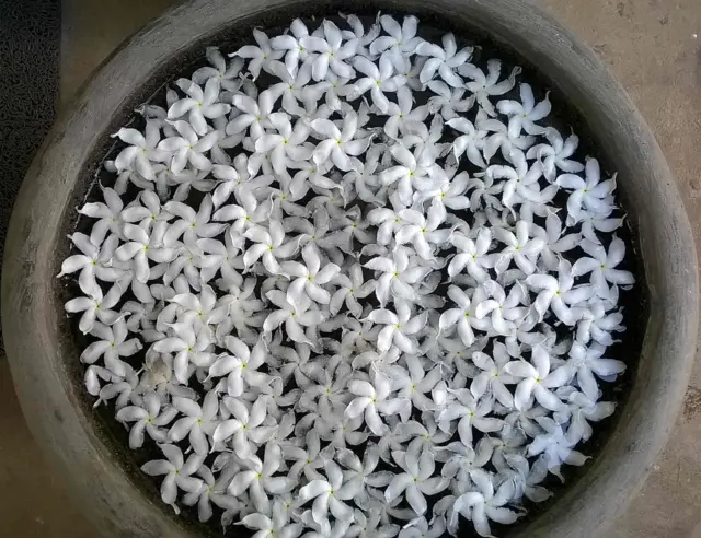 துஷன்ராஜ், இலங்கை