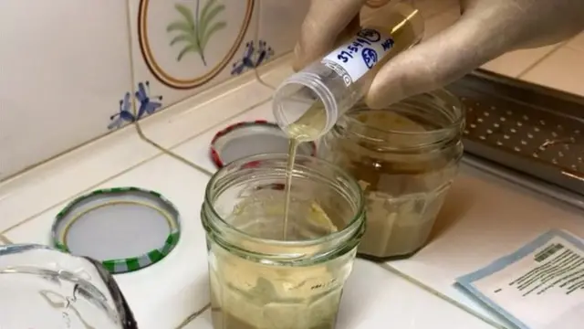 خبز فرعوني