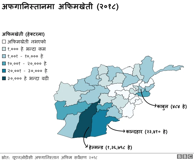 अफिमखेती