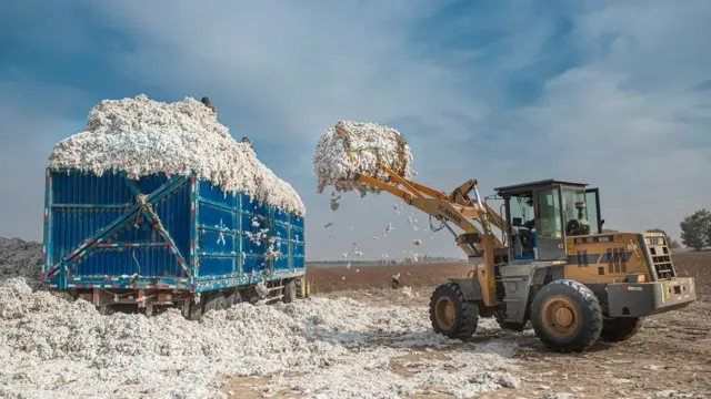 만약 우리가 의류용 합성 소재를 사용하지 않는다면, 면화 생산량을 크게 늘려야 할 것이다
