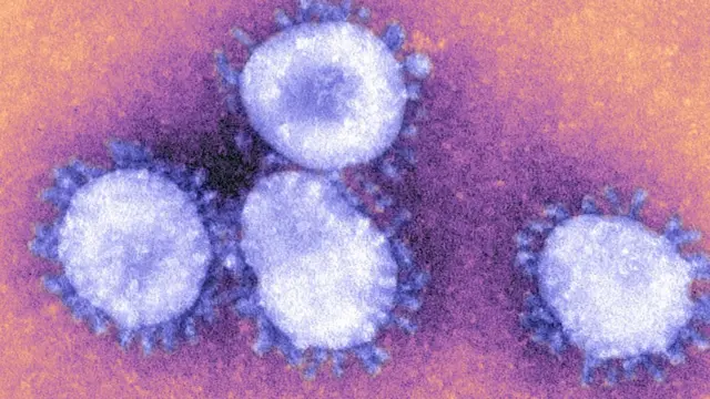 coronavirus