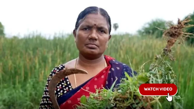 બીબીસી ગુજરાતી, બીબીસી, ગુજરાત, નક્સલવાદ, 